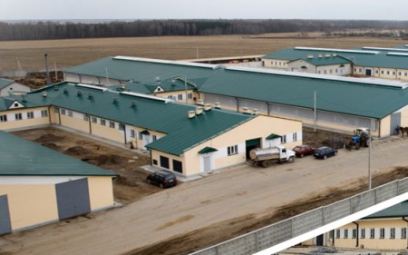 Молочно-товарная ферма на 1100 коров д. Городняны Пружанского района